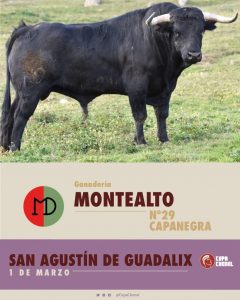 Duelo entre Montealto y El Montecillo para la 1ª de la Copa Chenel