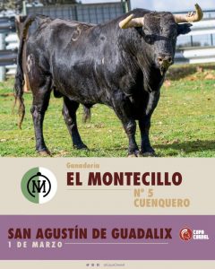 Duelo entre Montealto y El Montecillo para la 1ª de la Copa Chenel