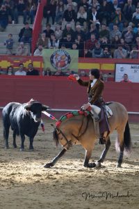 Sebastián Castella y Diego Ventura triunfan en Valdemorillo