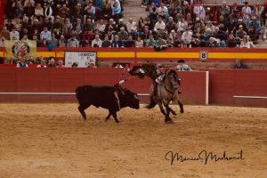 Sebastián Castella y Diego Ventura triunfan en Valdemorillo