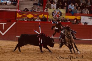 Sebastián Castella y Diego Ventura triunfan en Valdemorillo