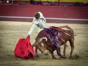 Puerta grande de Javier Zulueta en la primera de Valdemorillo
