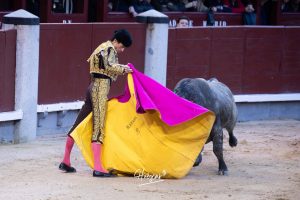 Damián Castaño, herido, destaca en Las Ventas