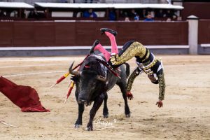 Damián Castaño, herido, destaca en Las Ventas