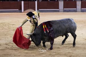 Damián Castaño, herido, destaca en Las Ventas