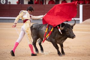 Damián Castaño, herido, destaca en Las Ventas