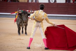 Damián Castaño, herido, destaca en Las Ventas