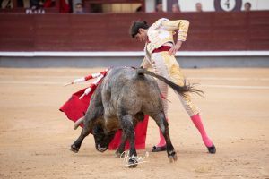 Damián Castaño, herido, destaca en Las Ventas