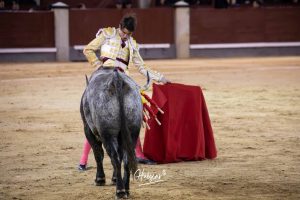 Damián Castaño, herido, destaca en Las Ventas