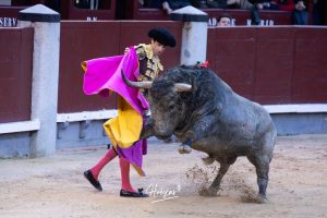 Damián Castaño, herido, destaca en Las Ventas