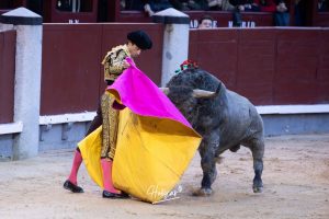 Damián Castaño, herido, destaca en Las Ventas