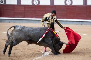 Damián Castaño, herido, destaca en Las Ventas