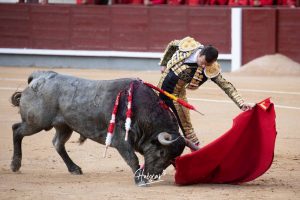 Damián Castaño, herido, destaca en Las Ventas