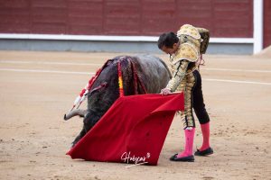 Damián Castaño, herido, destaca en Las Ventas