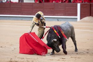 Damián Castaño, herido, destaca en Las Ventas