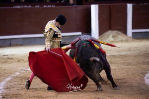 Damián Castaño, herido, destaca en Las Ventas