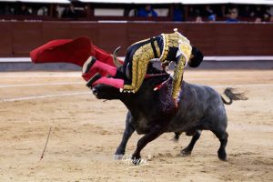 Damián Castaño, herido, destaca en Las Ventas