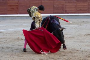 Ovación para Mariscal Ruiz, herido grave, en Madrid