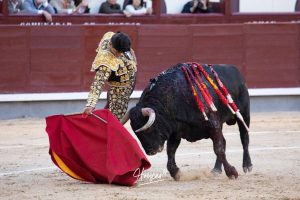 Ovación para Mariscal Ruiz, herido grave, en Madrid