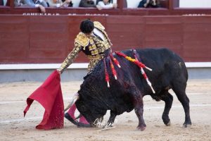 Ovación para Mariscal Ruiz, herido grave, en Madrid