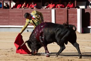 Ovación para Mariscal Ruiz, herido grave, en Madrid