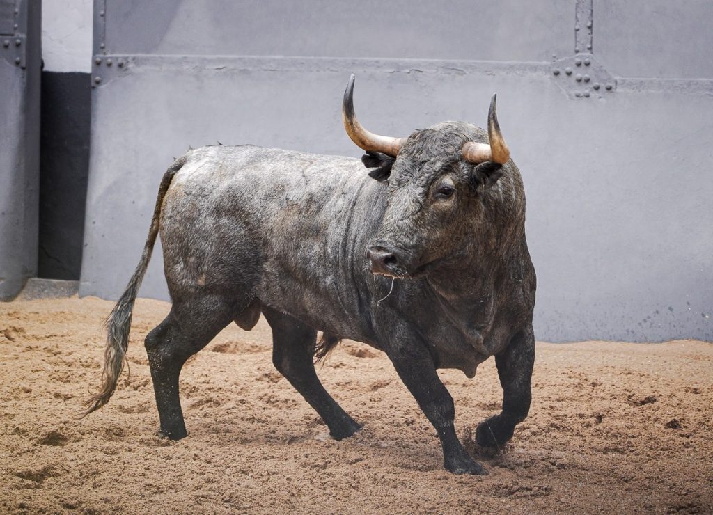 Los toros de Adolfo Martín ya están en Las Ventas
