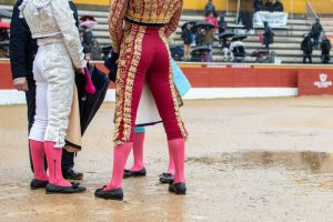 Aplazados los festejos de la Copa Chenel y el Circuito de Madrid