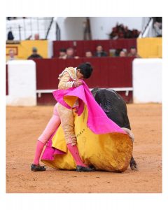Tomás Bastos: Impacto de Olivenza y presentación en San Isidro