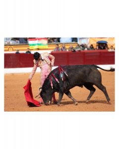 Tomás Bastos: Impacto de Olivenza y presentación en San Isidro