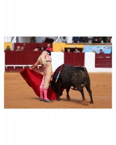 Tomás Bastos: Impacto de Olivenza y presentación en San Isidro