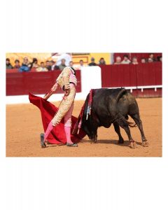 Tomás Bastos: Impacto de Olivenza y presentación en San Isidro