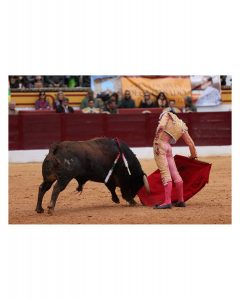 Tomás Bastos: Impacto de Olivenza y Presentación en San Isidro