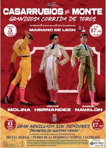 Corrida de toros y novillada sin caballos en Casarrubios del Monte