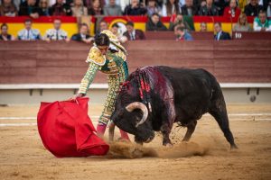 Juan Ortega borda el toreo en Castellón