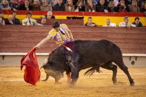 Juan Ortega borda el toreo en Castellón