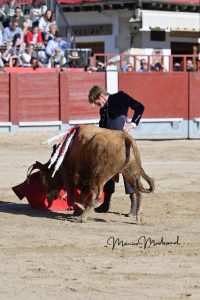 Miguel Ángel Perera destaca en el festival de Chinchón