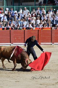 Miguel Ángel Perera destaca en el festival de Chinchón
