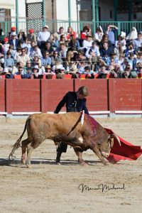 Miguel Ángel Perera destaca en el festival de Chinchón