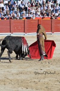 Miguel Ángel Perera destaca en el festival de Chinchón