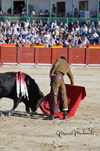Miguel Ángel Perera destaca en el festival de Chinchón