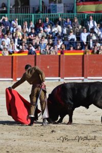 Miguel Ángel Perera destaca en el festival de Chinchón
