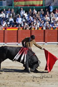 Miguel Ángel Perera destaca en el festival de Chinchón