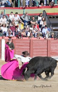 Miguel Ángel Perera destaca en el festival de Chinchón