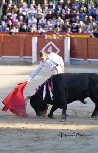 Miguel Ángel Perera destaca en el festival de Chinchón