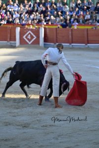 Miguel Ángel Perera destaca en el festival de Chinchón