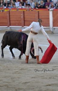 Miguel Ángel Perera destaca en el festival de Chinchón