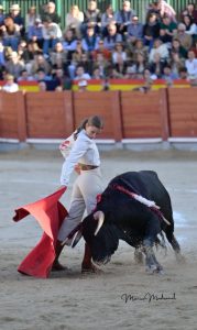 Miguel Ángel Perera destaca en el festival de Chinchón