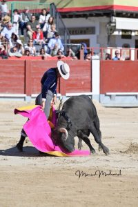 Miguel Ángel Perera destaca en el festival de Chinchón