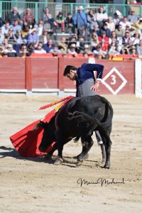 Miguel Ángel Perera destaca en el festival de Chinchón