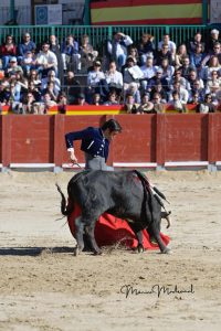 Miguel Ángel Perera destaca en el festival de Chinchón